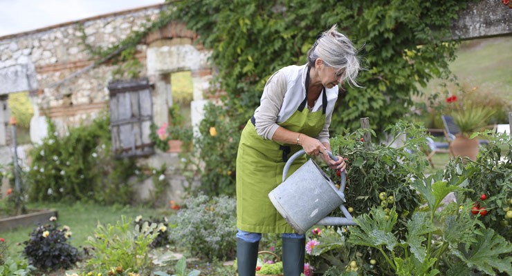 woman watering flowers in her garden